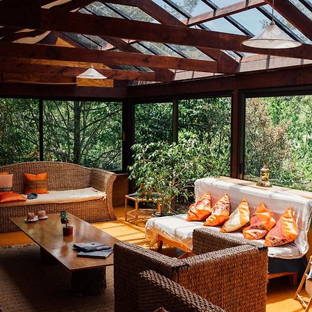 Kawai Purapura Yoga Retreat Centre Hotel Оукланд Екстериор снимка