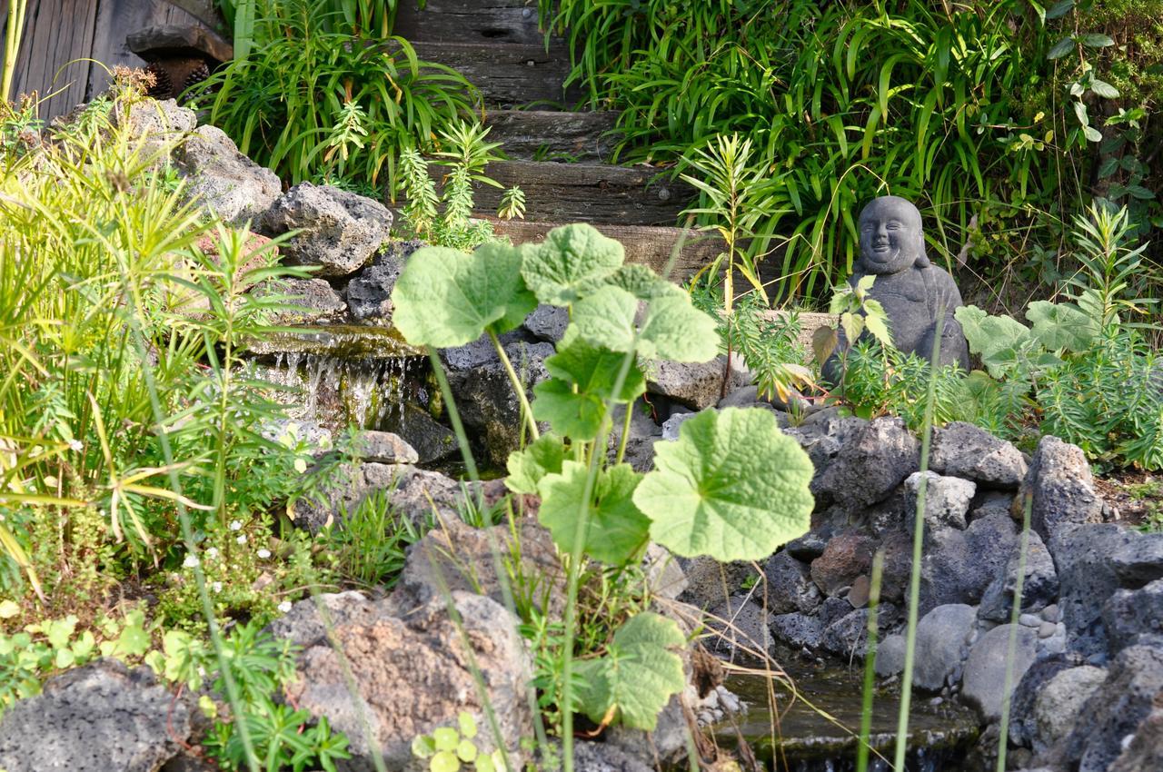 Kawai Purapura Yoga Retreat Centre Hotel Оукланд Екстериор снимка