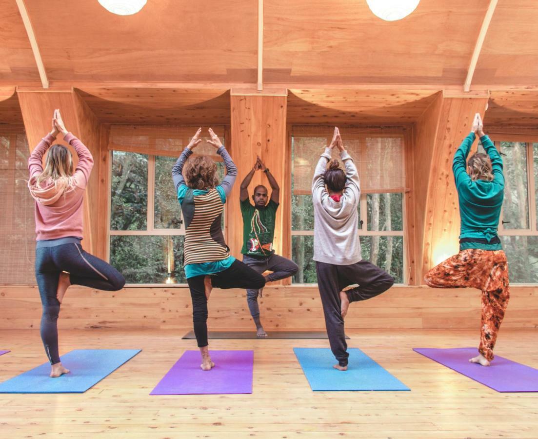 Kawai Purapura Yoga Retreat Centre Hotel Оукланд Екстериор снимка