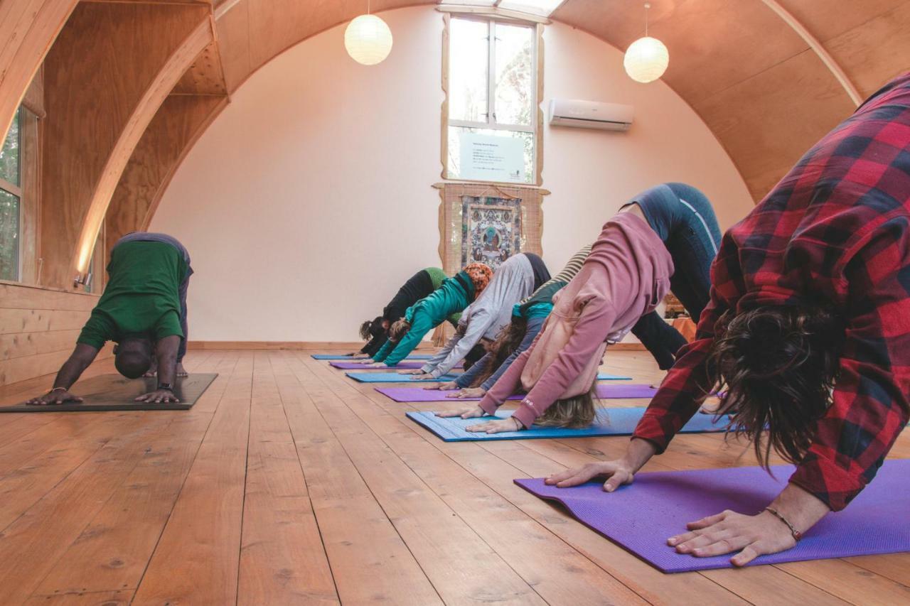 Kawai Purapura Yoga Retreat Centre Hotel Оукланд Екстериор снимка